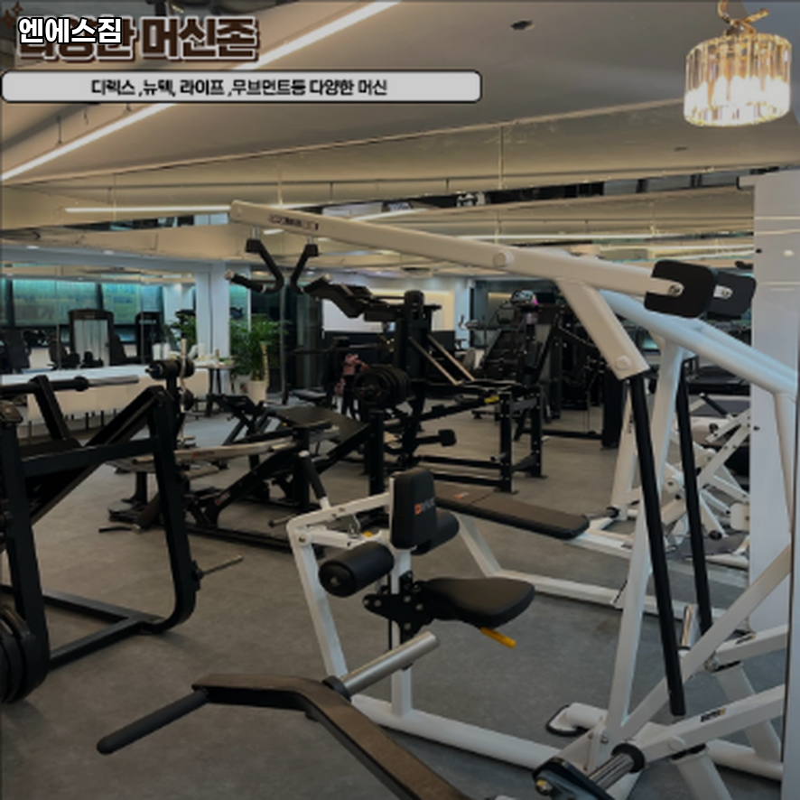 엔에스짐 이미지