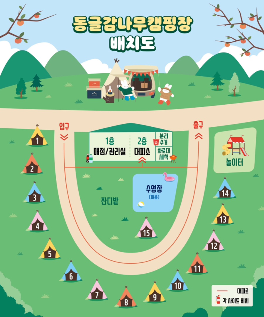 동글나무 이미지