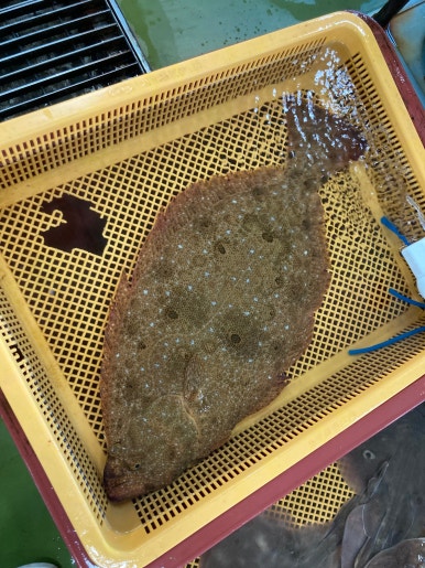 해송수산 이미지