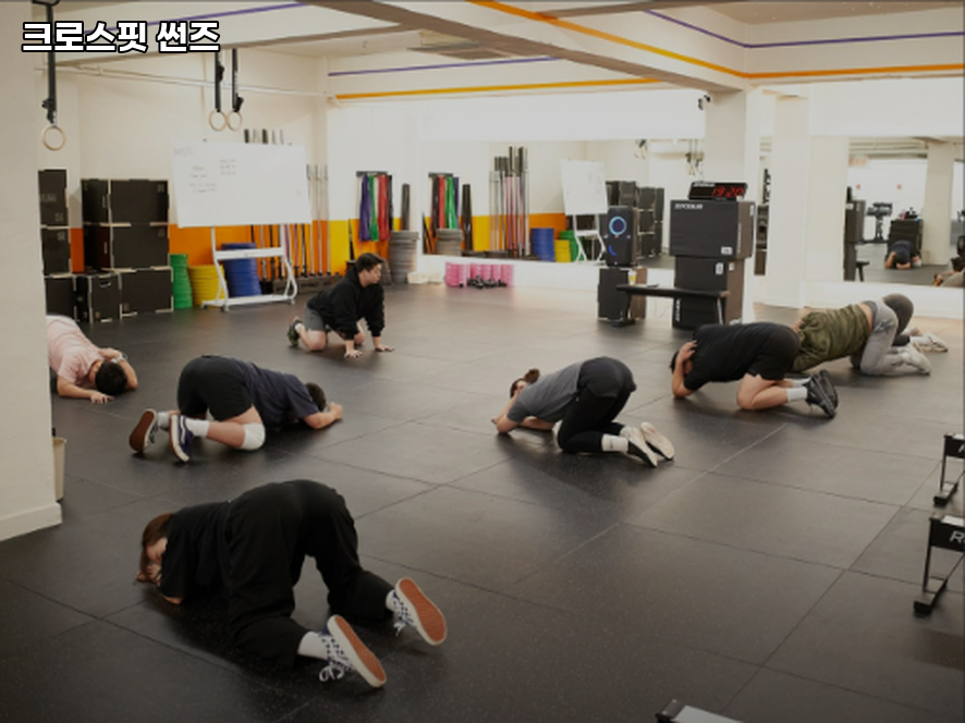 크로스핏썬즈 이미지