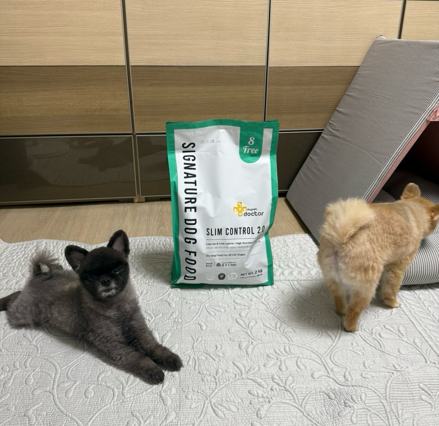 글로벌 마이펫 이미지