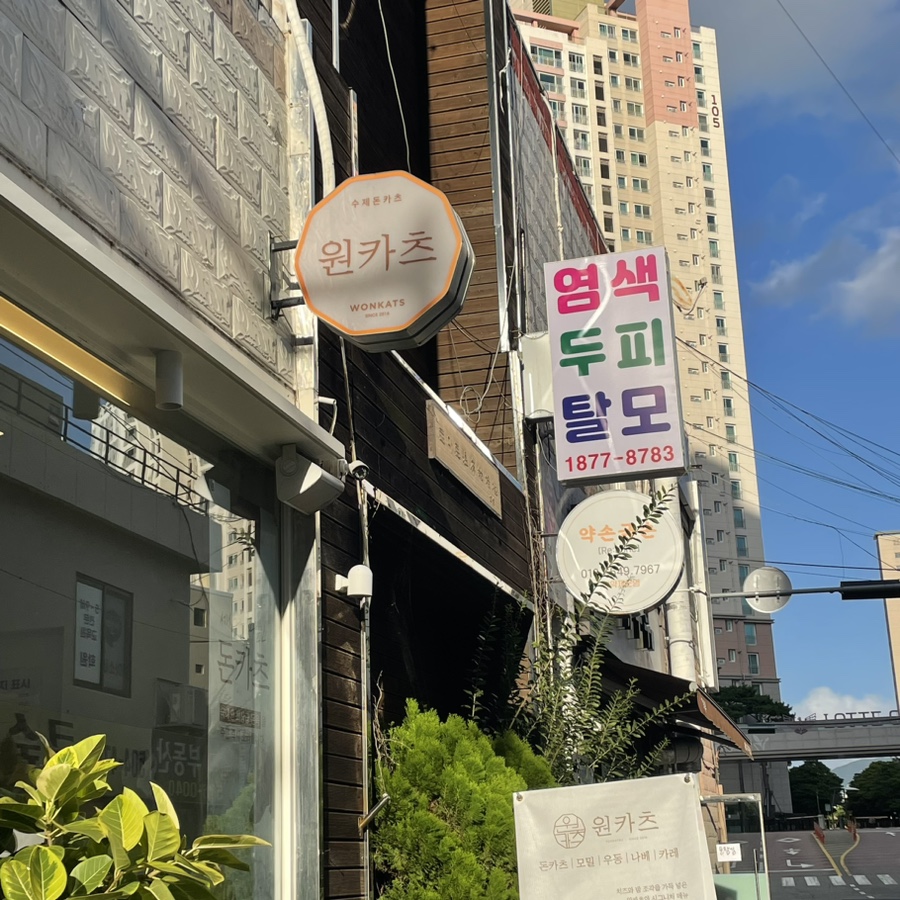 금손체형관리 이미지