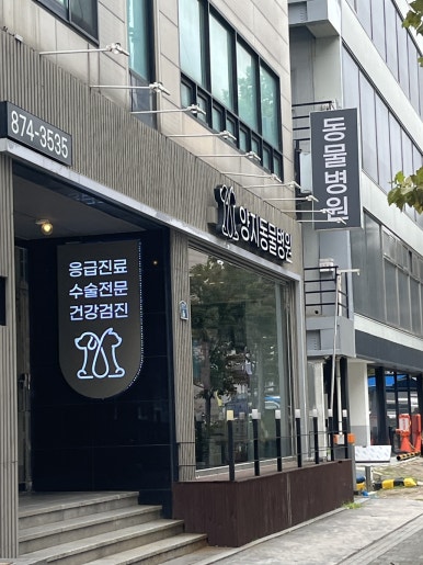 양지동물병원