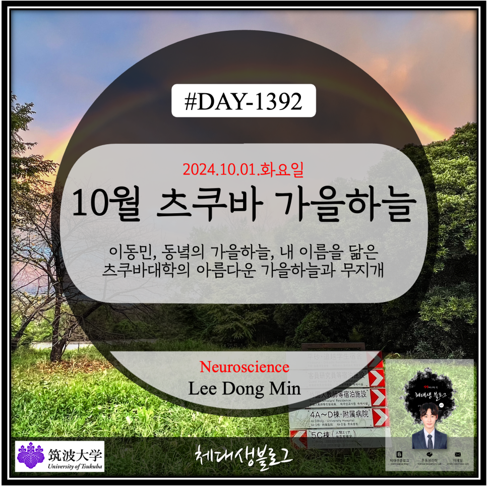 가을하늘민 이미지