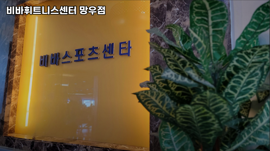 비바휘트니스 이미지