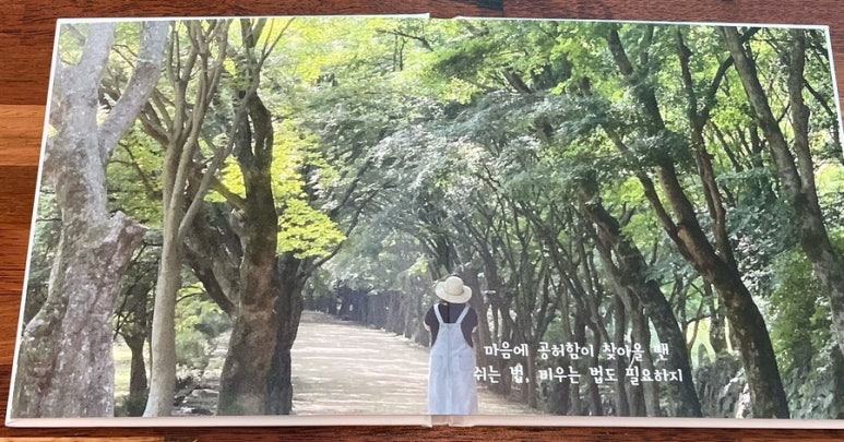 꼬삐아 이미지