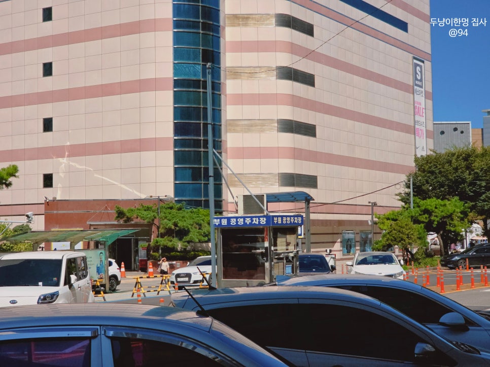 부평 포메라니안 미용, 아콩하우스 곰돌이컷 후기 — 사진 3