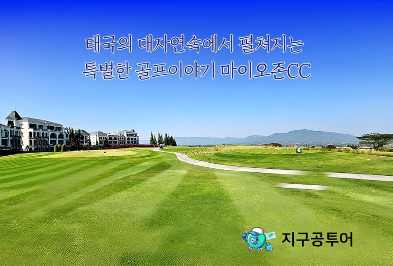마이오 이미지