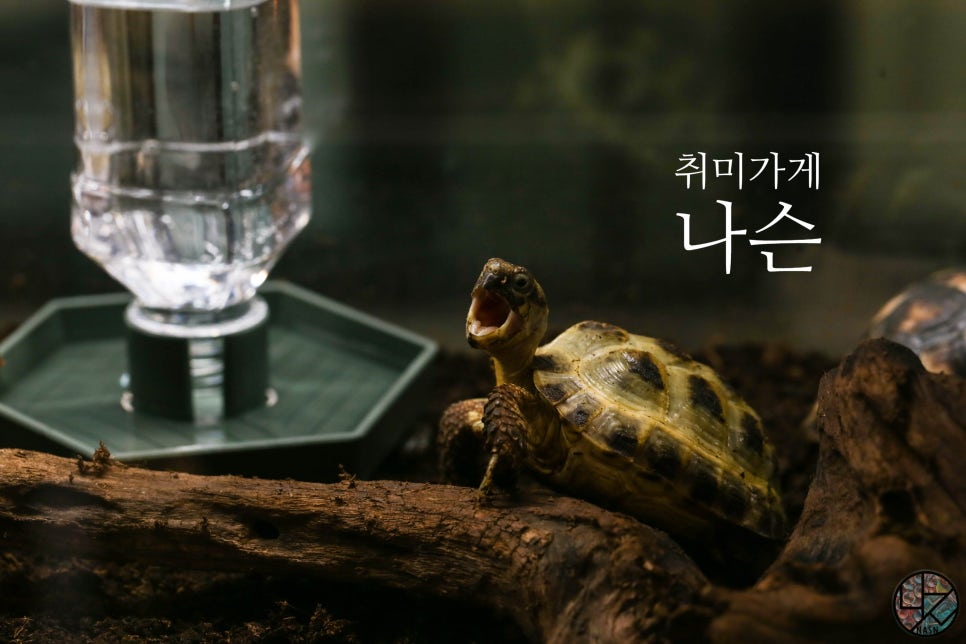 나슨 이미지