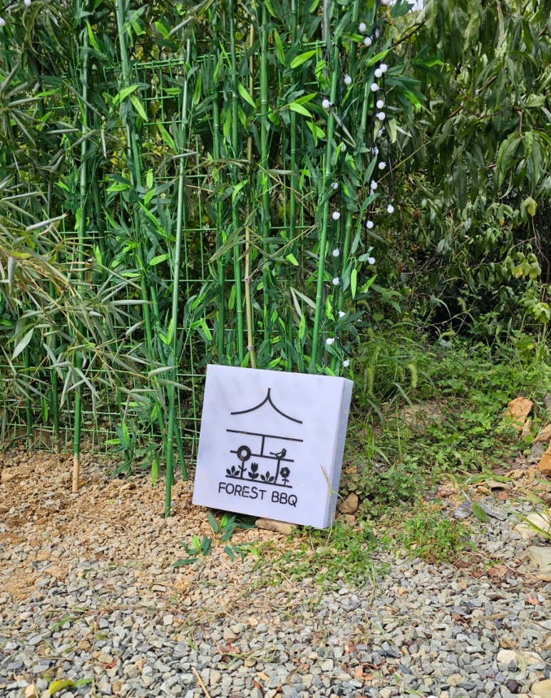 대구숲에가자 이미지