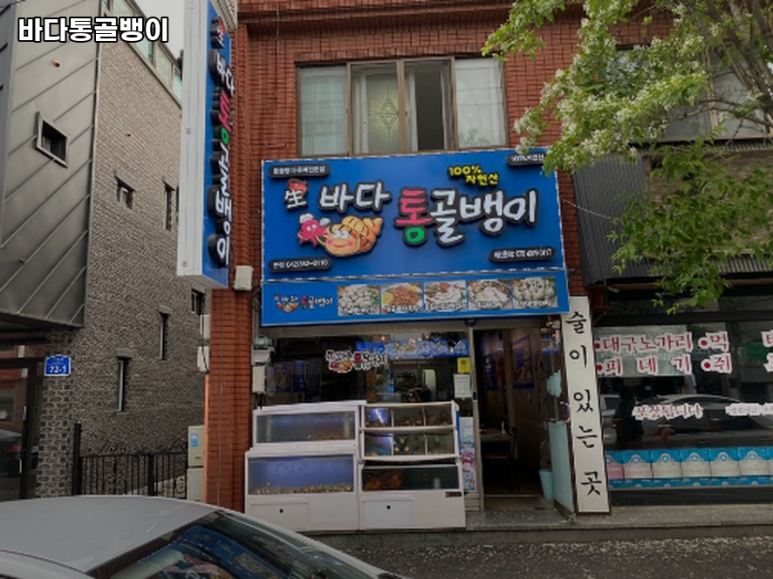바다 통골뱅이 이미지