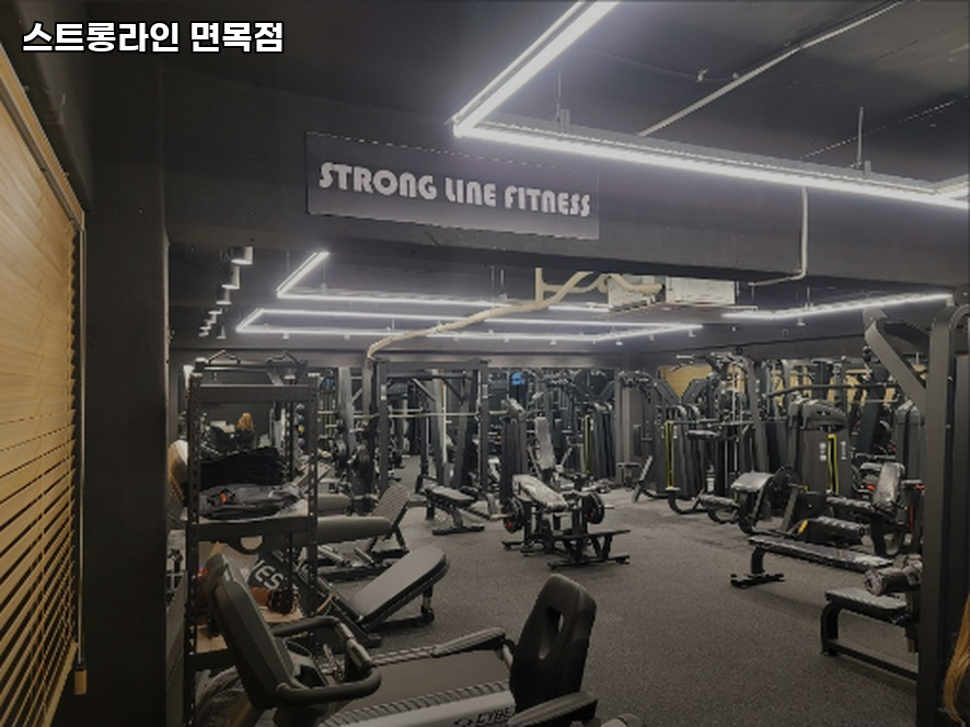스트롱라인 이미지