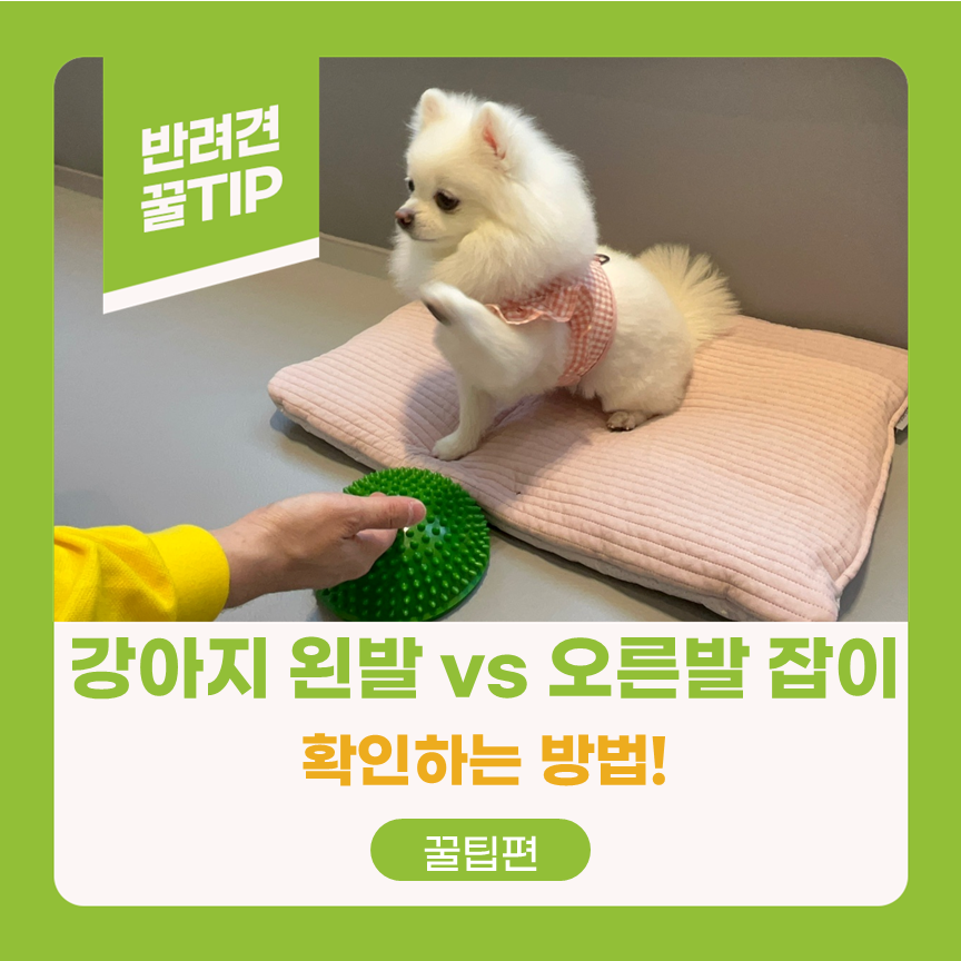 왼발오른발 이미지