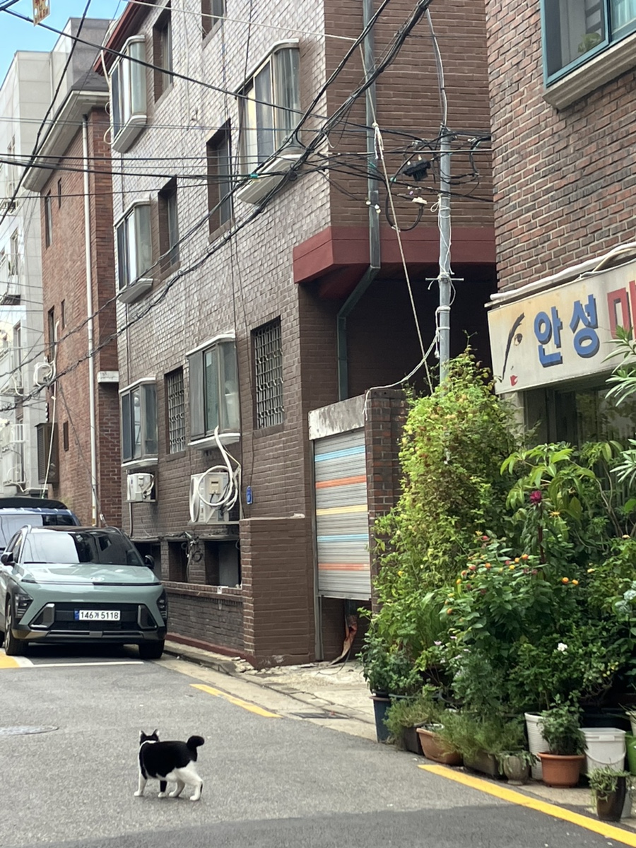 창신명품크리닝 이미지
