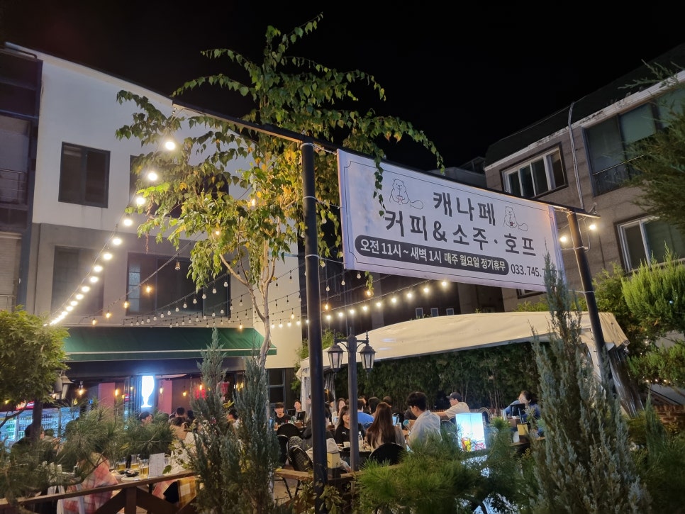 캐나페 이미지