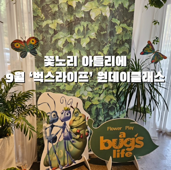 꽃노리아틀리에속초 이미지