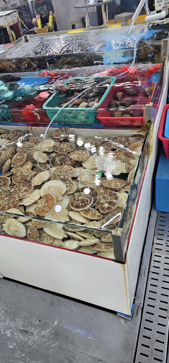 100번수산 이미지