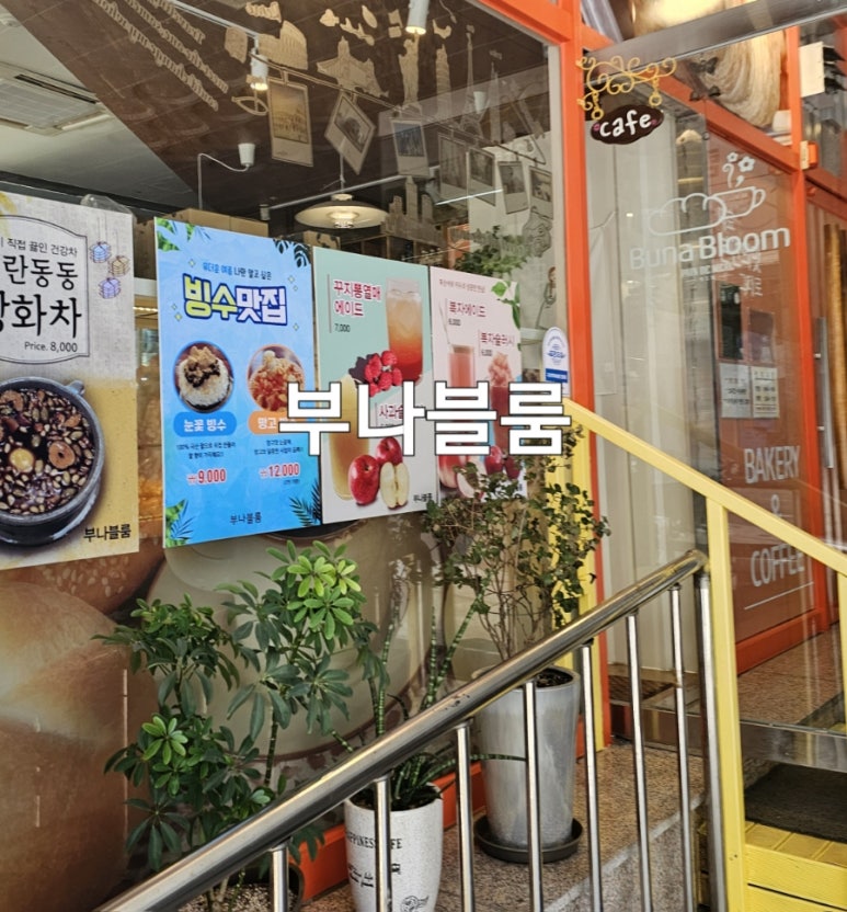 부나블룸 이미지