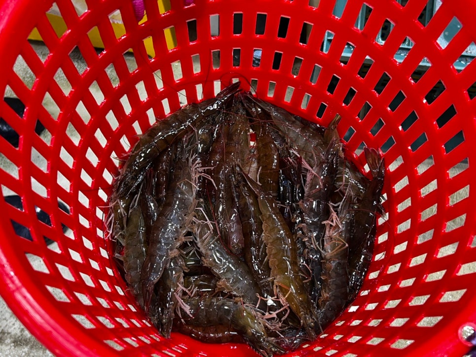 정화초장집 이미지