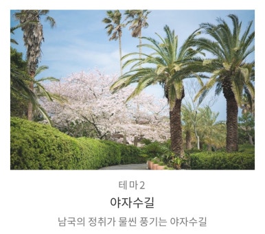 아일랜드프로젝트646미터퍼세크 이미지
