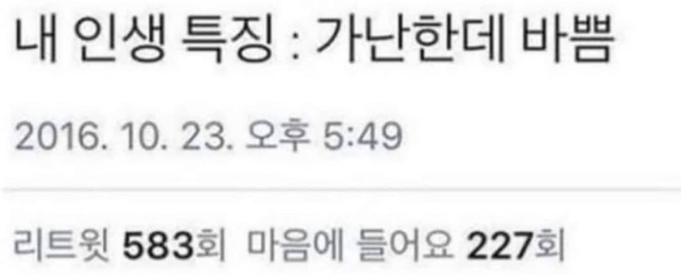 치킨밴드 이미지