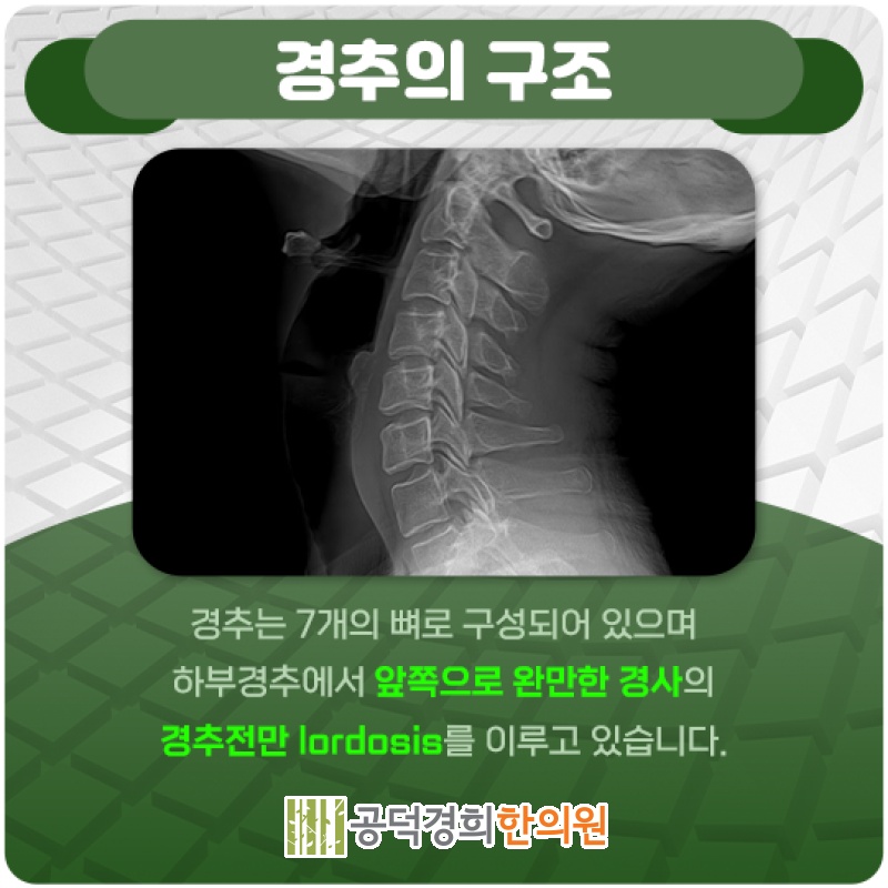 공덕경희한의원 이미지