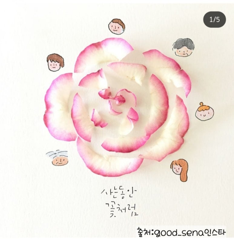 사는동안꽃처럼 이미지