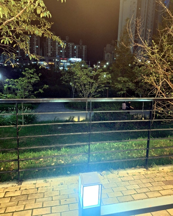 우아한낙지 이미지