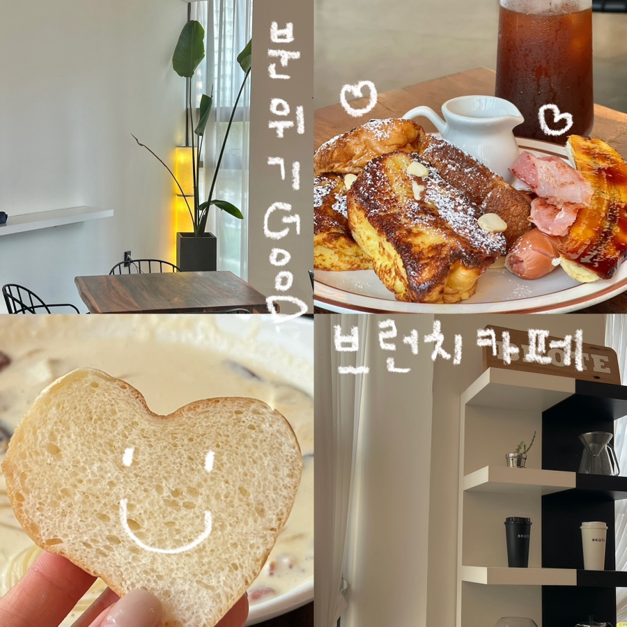 엘 브로테(EL BROTE) 이미지