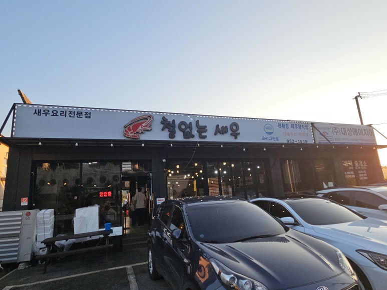 철없는 새우 이미지