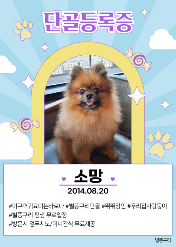 별똥구리 이미지