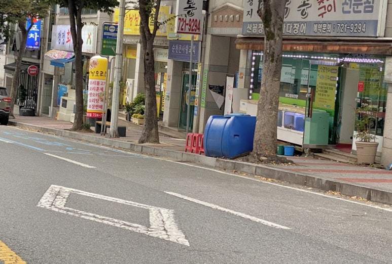 낭낭오리왕지점 이미지