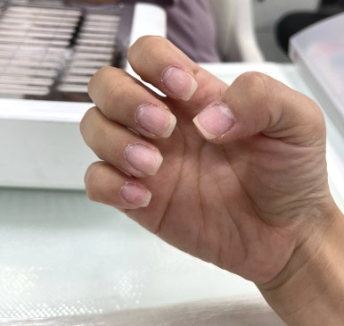 프롬탑투토 이미지