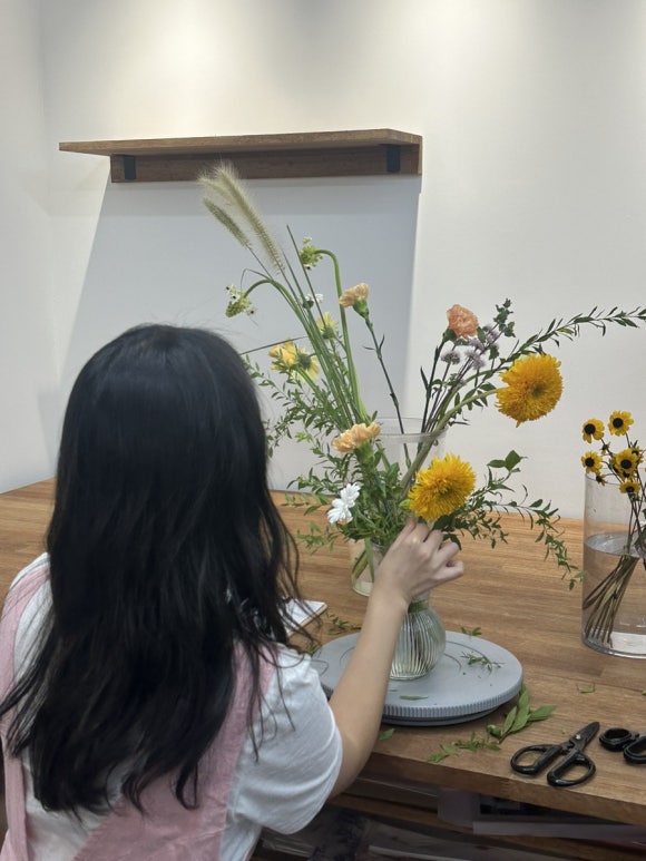 플로피아 이미지