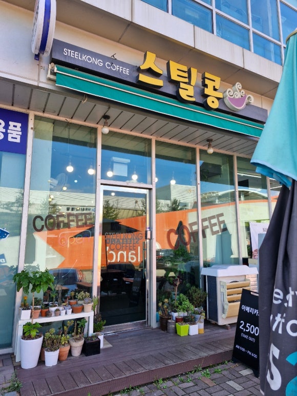 스틸콩 이미지