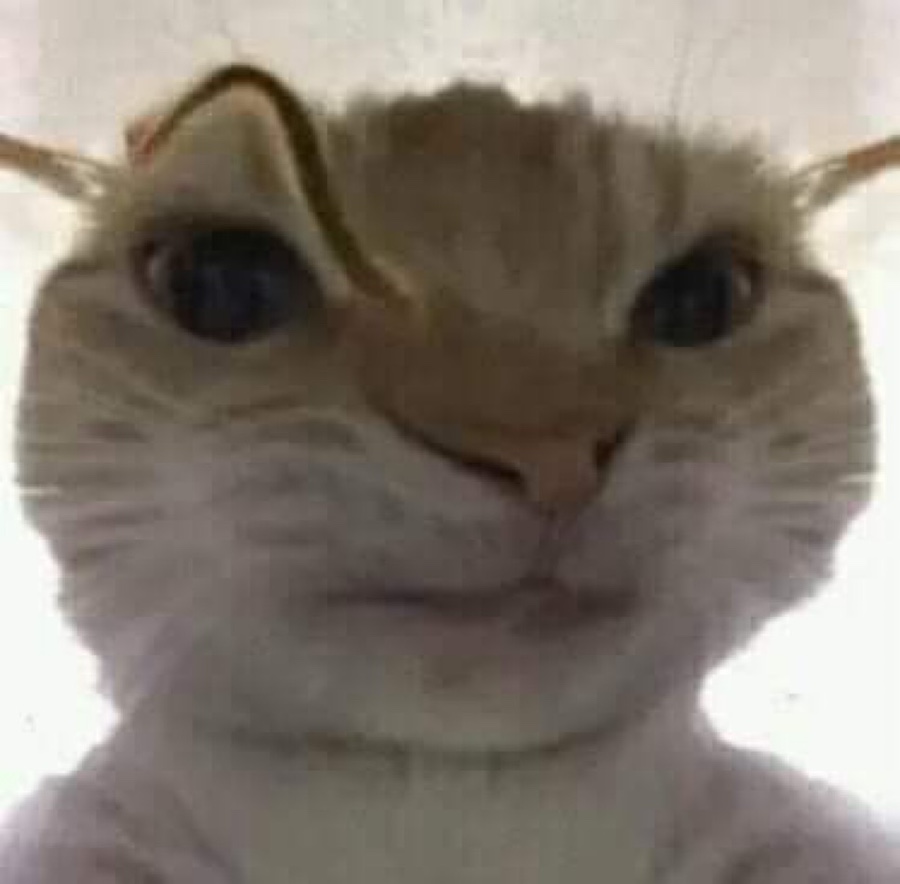 비비기 이미지