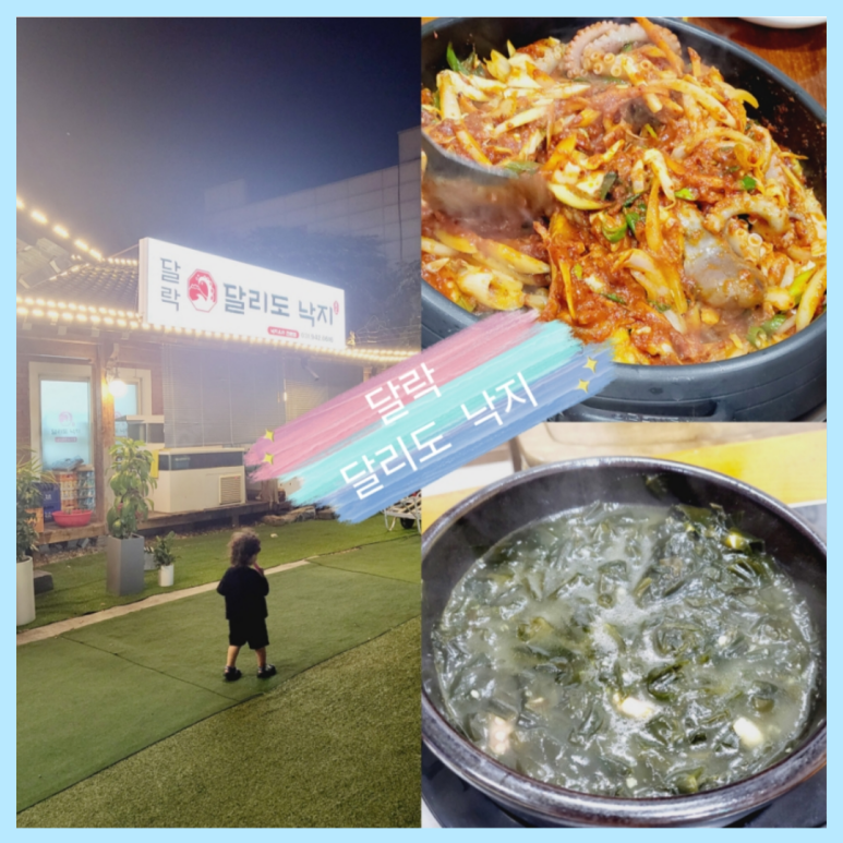 달락달리도낙지 이미지