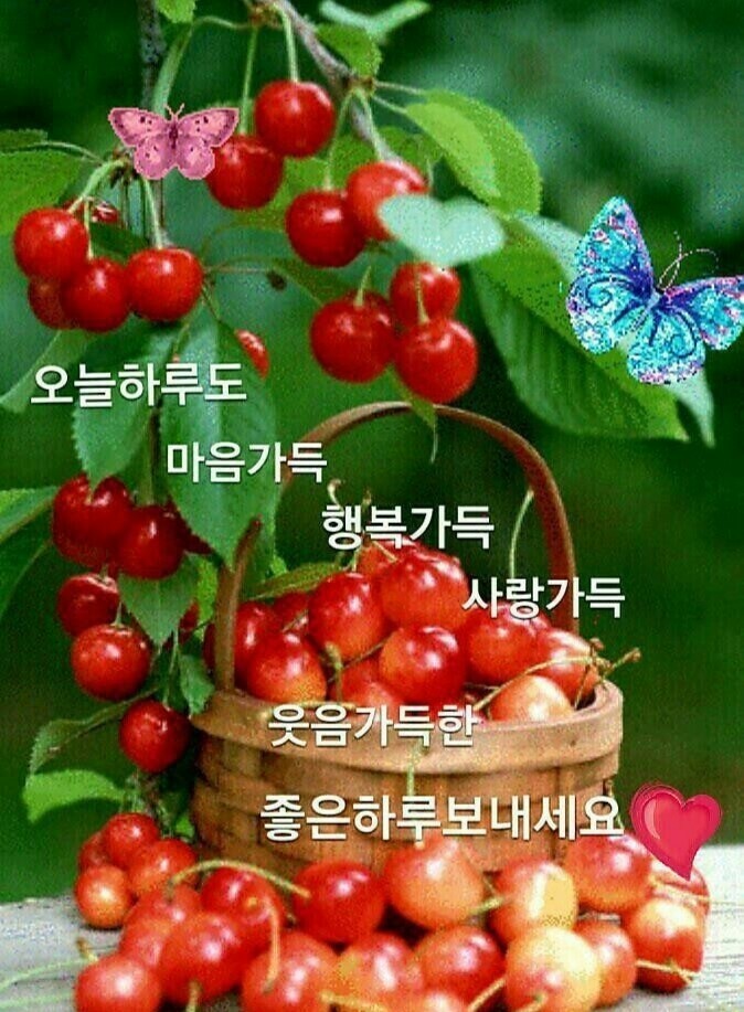 에이스환경 이미지