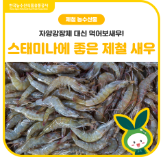 자양강장제 대신 먹어보새우!💪스태미나에 좋은 제철 새우🦐 바로가기