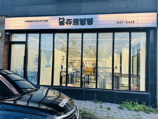 봉쥬르멍멍 이미지