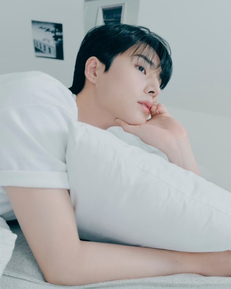 프롬케이 이미지