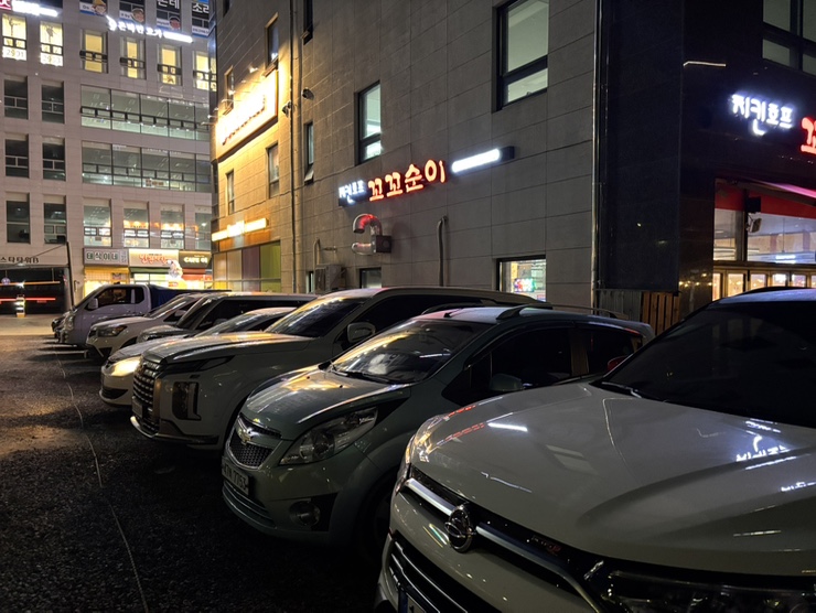 꼬꼬순이초롱꽃점 이미지