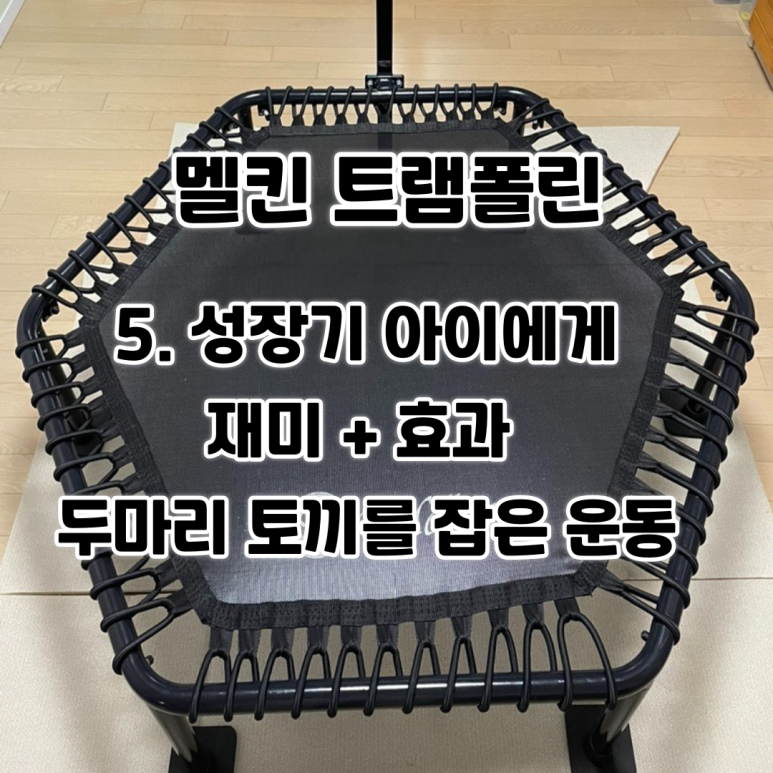 트램폴린오피스 이미지