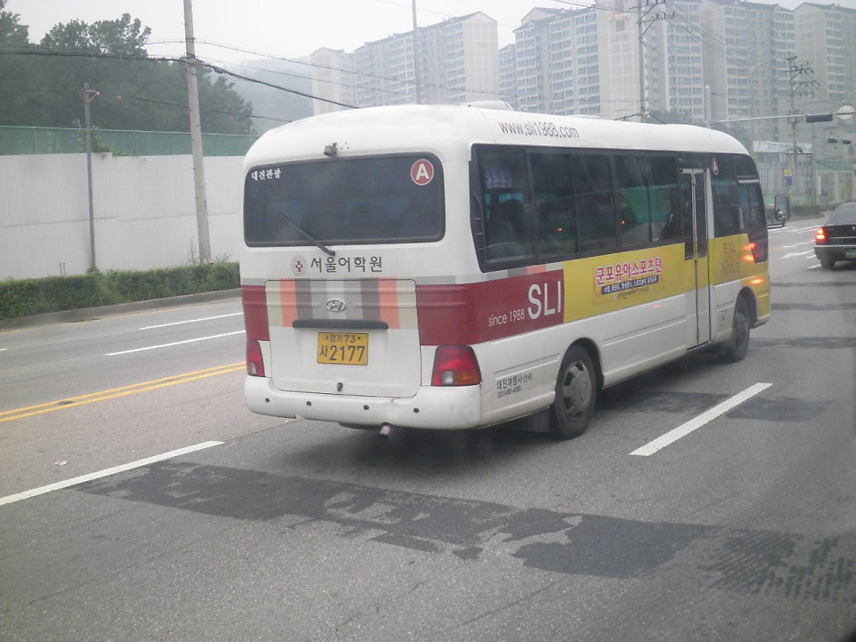 대진여행사 이미지