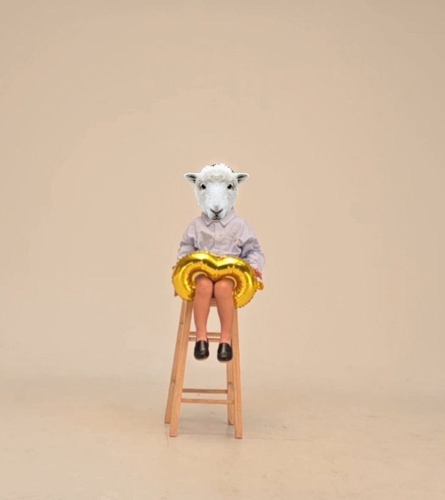 와이테일 이미지