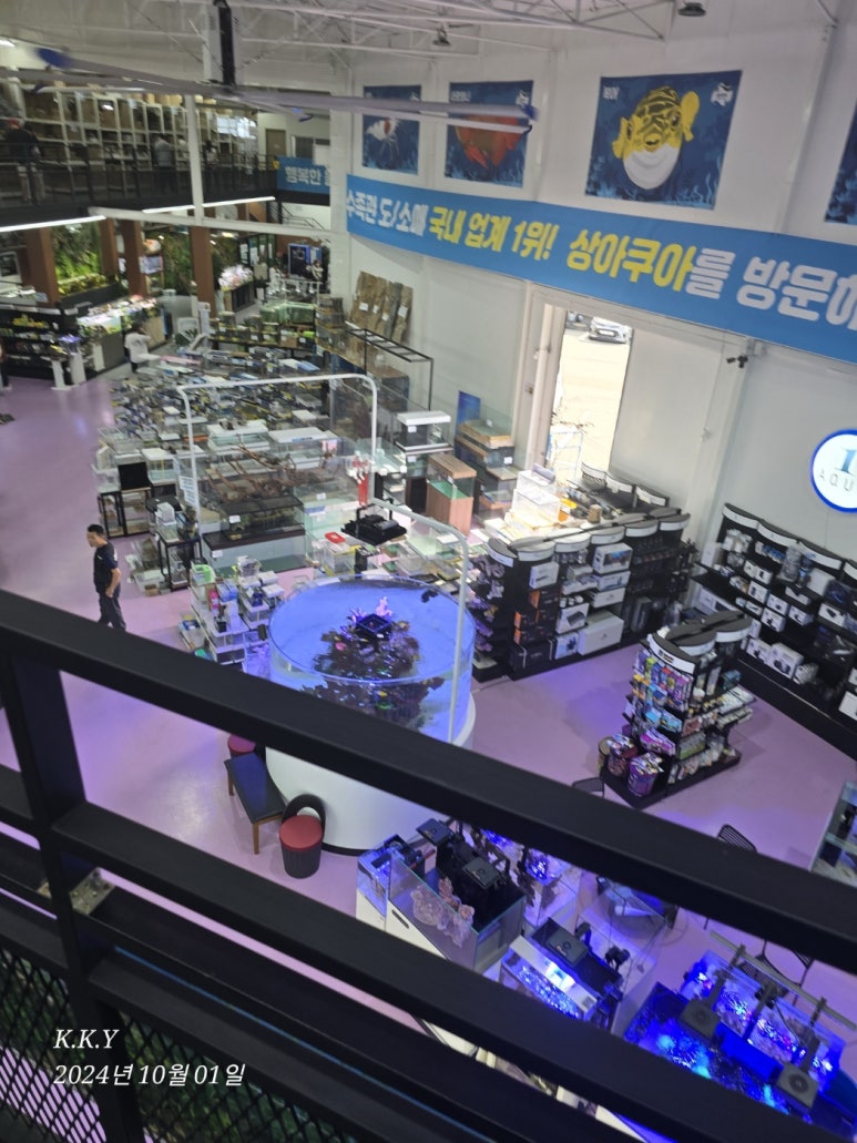 서울경기열대어 이미지