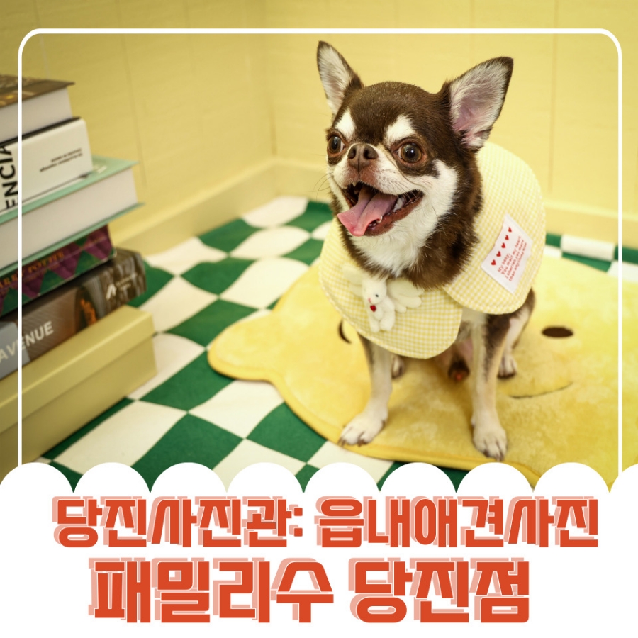읍내사진관 이미지
