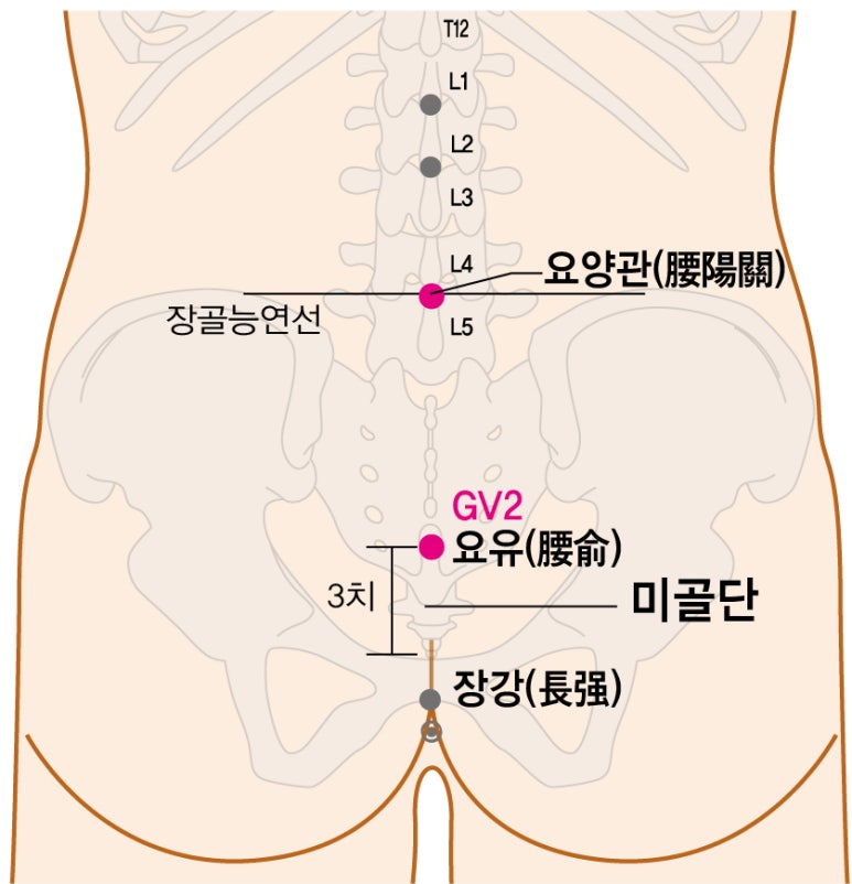 (유)장강 이미지