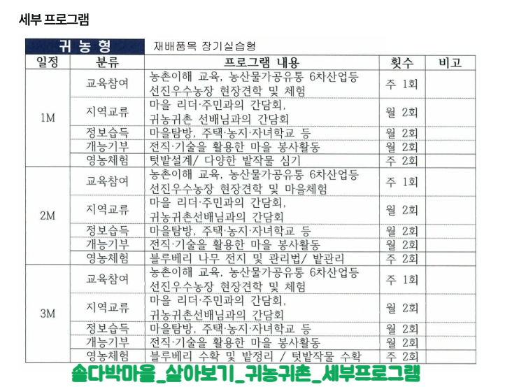 솔다박 이미지