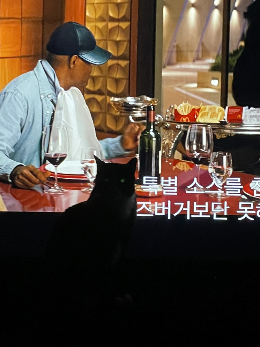 브랜딕 이미지